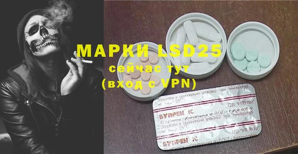 крисы Абаза