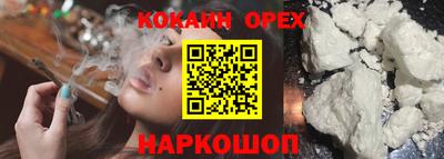 эйфоретик Аргун