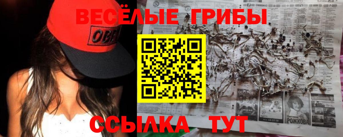 Псилоцибиновые грибы ЛСД  Галлюциногенные грибы ЛСД  Боровичи  Вход с VPN 